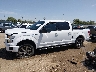1FTEW1EF4HF****** Salvage 2017 Ford F-150