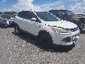 1FMCU0G98EU****** Salvage and Wrecked 2014 Ford Escape in New Orleans East