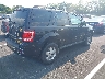 1FMCU0D77BK****** Salvage and Wrecked 2011 Ford Escape in Tennessee State