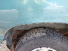 1FBSS31S0WH****** Repairable 1998 Ford E-350 in Tennessee State