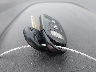 5NPD74LF9HH****** Salvage 2017 Hyundai Elantra in Texas State