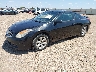 1N4AL24E48C****** Used and Repairable 2008 Nissan Altima in Amarillo