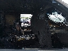 3B7HC12Y2XG****** Used and Repairable 1999 Dodge Ram 1500 in Louisiana State