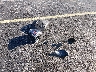 KM8HB3AB6SU****** Destrozados 2025 Hyundai Kona en Estado de Florida