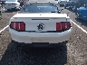 1ZVBP8EM6B5****** Wrecked 2011 Ford Mustang