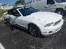 1ZVBP8EM6B5****** Salvage and Wrecked 2011 Ford Mustang in Nashville