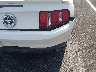 1ZVBP8EM6B5****** Salvage and Repairable 2011 Ford Mustang in Tennessee State