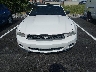 1ZVBP8EM6B5****** Wrecked 2011 Ford Mustang in Tennessee State