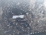 7G2CEHED1SA****** Salvage 2025 Tesla Cybertruck