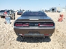 2C3CDZAGXKH****** Destrozados 2019 Dodge Challenger