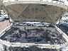 5TBDT441X6S****** Reparables 2006 Toyota Tundra en Tidewater