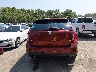 2FMDK4JC1EB****** Destrozados 2014 Ford Edge