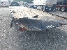 4ZEGT4026R1****** Salvage and Repairable 2024 Load Trail 40' Flatbed Gooseneck in South Carolina State