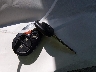 5TDZK23C78S****** Salvamento 2008 Toyota Sienna en Estado de Nueva Jersey