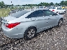 5NPEB4AC7DH****** Salvage and Wrecked 2013 Hyundai Sonata in South Carolina State
