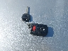 3TMCZ5AN4NM****** Salvage 2022 Toyota Tacoma in California State