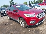 1FMCU9HD6JU****** Salvage and Wrecked 2018 Ford Escape in Detroit