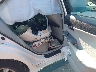 4T1BD1FK2CU****** Destrozados 2012 Toyota Camry Hybrid en Boston Shirley