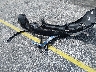 5N1AZ2CJXMC****** Wrecked 2021 Nissan Murano in Florida State
