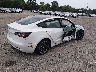5YJ3E1EB9MF****** Salvage and Wrecked 2021 Tesla Model 3 in New Jersey State