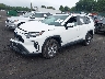 2T3RWRFV1RW****** Used and Repairable 2024 Toyota RAV4 Hybrid in Scranton