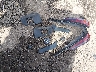 19UDE4H6XRA****** Reparables 2024 Acura Integra