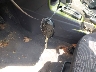 3FADP4EJ0BM****** Salvamento 2011 Ford Fiesta en Estado de Maryland