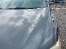 4T1BE46K18U****** Destrozados 2008 Toyota Camry