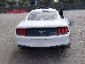 1FA6P8TH9M5****** Usados 2021 Ford Mustang