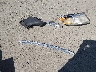 5FNRL5H95DB****** Wrecked 2013 Honda Odyssey in Washington State