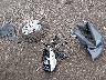 1V2KC2CA7MC****** Destrozados 2021 Volkswagen Atlas en Estado de Ohio