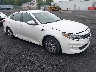 KNAGT4L34G5****** Salvage and Wrecked 2016 Kia Optima in Scranton