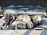 1GCSKTE30AZ****** Repairable 2010 Chevrolet Silverado 1500 in Port Murray