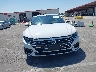 WVWFR7AN6KE****** Destrozados 2019 Volkswagen Arteon en Estado de California