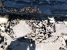 1FMCU0JX2EU****** Reparables 2014 Ford Escape en Dallas-Fort Worth