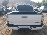 3TMJU62NX9M****** Usados 2009 Toyota Tacoma