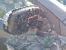 JTMBFREV6DD****** Usados 2013 Toyota RAV4