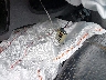 5XYZU3LA4EG****** Salvage 2014 Hyundai Santa Fe in Ohio State