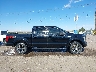 1FTEW1EF4GK****** Usados 2016 Ford F-150 en Estado de Nuevo México