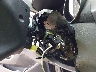 5NPDH4AE7DH****** Used 2013 Hyundai Elantra