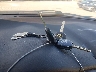 2T2HA31U76C****** Salvamento 2006 Lexus RX 330 en Estado de Virginia