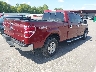 1FTFW1EF3EK****** Salvage and Wrecked 2014 Ford F-150 in Tennessee State