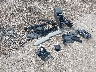 WA1BNAFY7J2****** Wrecked 2018 Audi Q5 in Illinois State