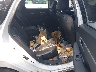 5NPEF4JA7LH****** Wrecked 2020 Hyundai Sonata in Albany