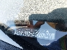 1GNFK13097R****** Used 2007 Chevrolet Tahoe in Los Angeles