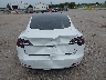 5YJ3E1EB0LF****** Wrecked 2020 Tesla Model 3