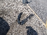 KL4MMBS22NB****** Wrecked 2022 Buick Encore in South Carolina State
