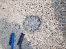 2T1BURHE7GC****** Wrecked 2016 Toyota Corolla in Wisconsin State