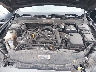3FA6P0HDXLR****** Repairable 2020 Ford Fusion in Houston