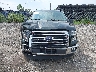1FTEW1EP4GF****** Destrozados 2016 Ford F-150 en Estado de Pennsylvania